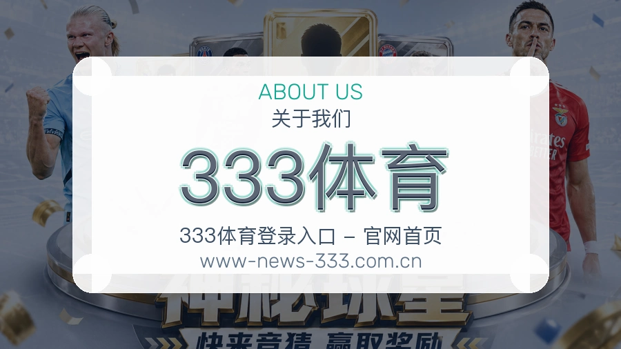 关于 333体育